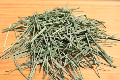 2020年産　春のハーブ・薬草を入荷しました